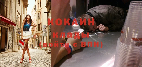 тгк Алзамай