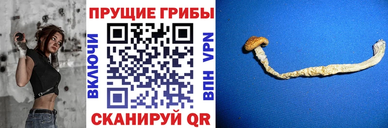 Галлюциногенные грибы мицелий Белоярский